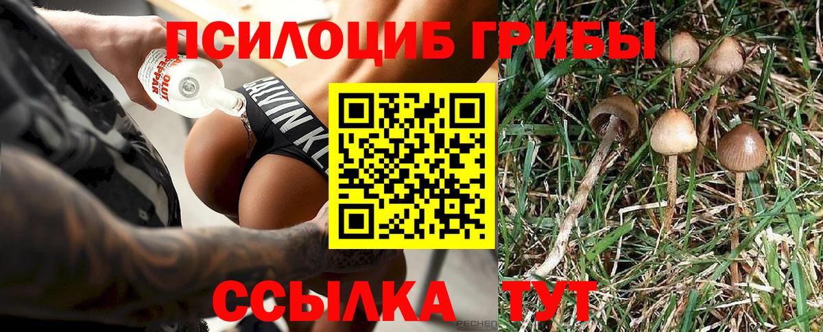 Галлюциногенные грибы Cubensis Рязань