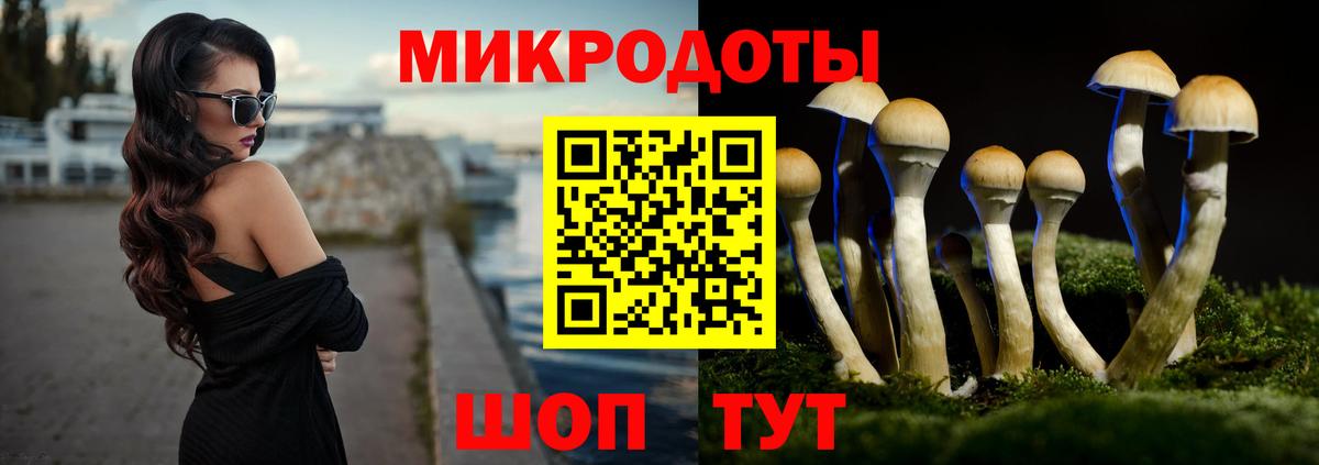 Рязань  Галлюциногенные грибы прущие грибы  Вход с VPN 